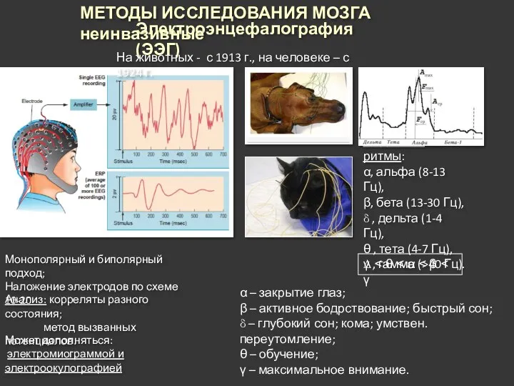 Электроэнцефалография (ЭЭГ) Выделяют ритмы: α, альфа (8-13 Гц), β, бета