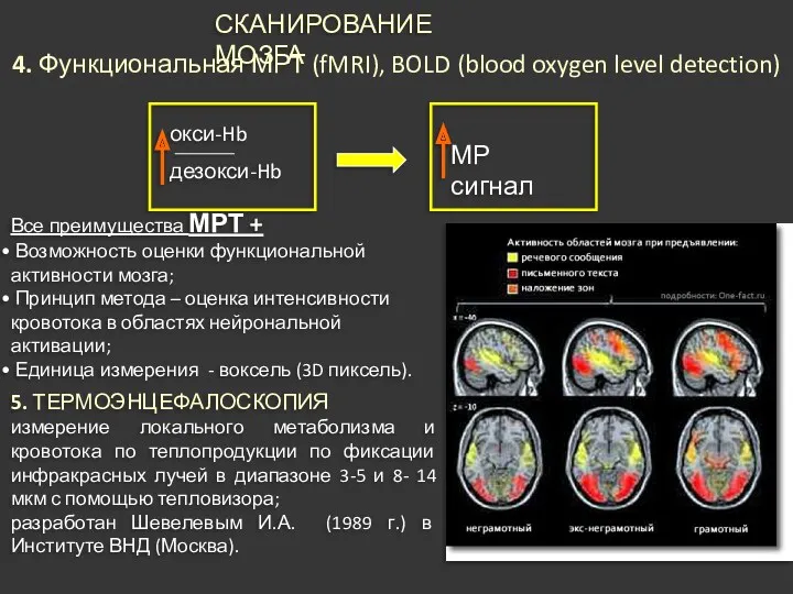 СКАНИРОВАНИЕ МОЗГА 4. Функциональная МРТ (fMRI), BOLD (blood oxygen level