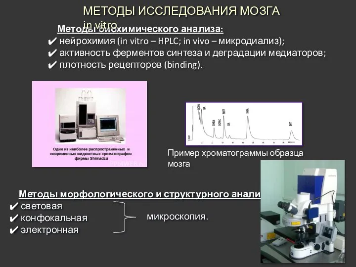 Методы биохимического анализа: нейрохимия (in vitro – HPLC; in vivo