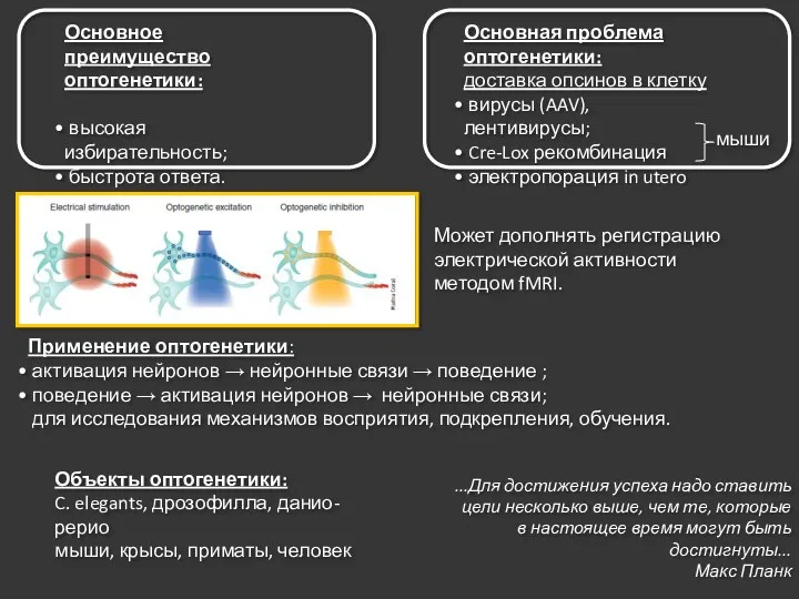 Основное преимущество оптогенетики: высокая избирательность; быстрота ответа. Применение оптогенетики: активация