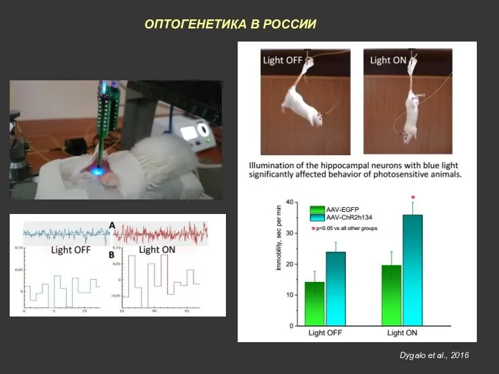 Dygalo et al., 2016 ОПТОГЕНЕТИКА В РОССИИ