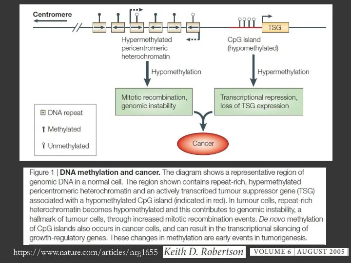 https://www.nature.com/articles/nrg1655