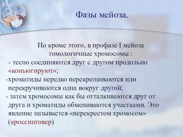 Но кроме этого, в профазе I мейоза гомологичные хромосомы :