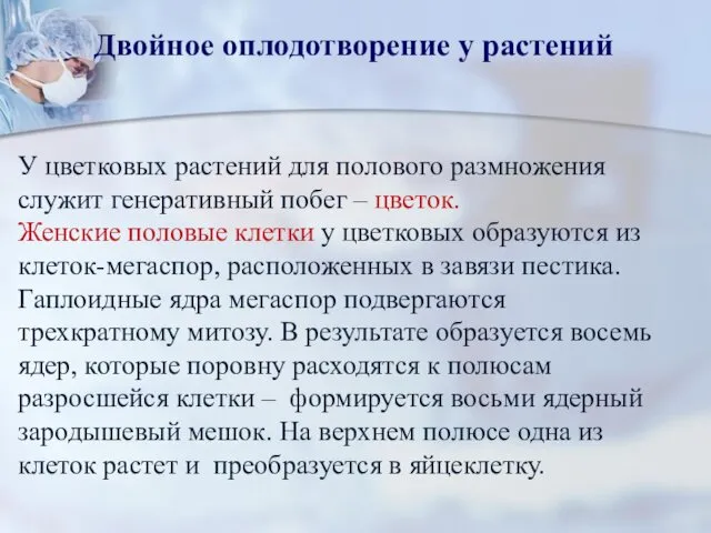 Двойное оплодотворение у растений У цветковых растений для полового размножения