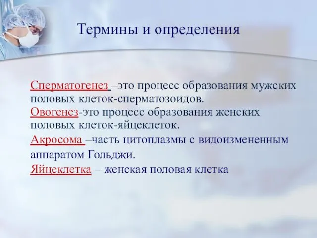 Термины и определения Сперматогенез –это процесс образования мужских половых клеток-сперматозоидов.