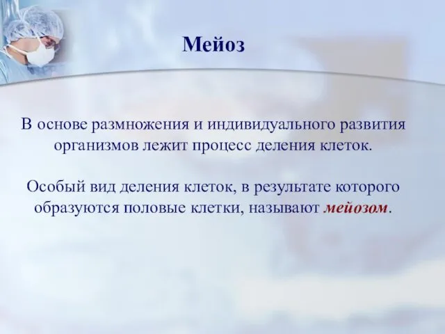 Мейоз В основе размножения и индивидуального развития организмов лежит процесс