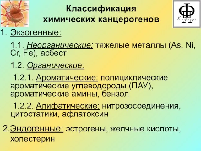 Классификация химических канцерогенов Экзогенные: 1.1. Неорганические: тяжелые металлы (As, Ni,