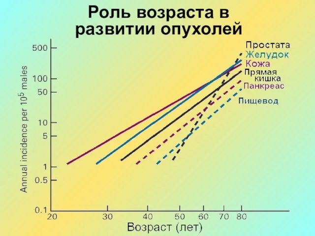 Роль возраста в развитии опухолей