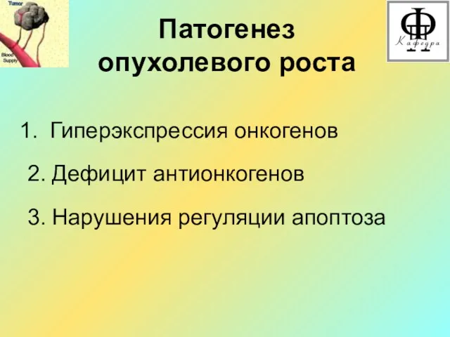 Патогенез опухолевого роста Гиперэкспрессия онкогенов 2. Дефицит антионкогенов 3. Нарушения регуляции апоптоза