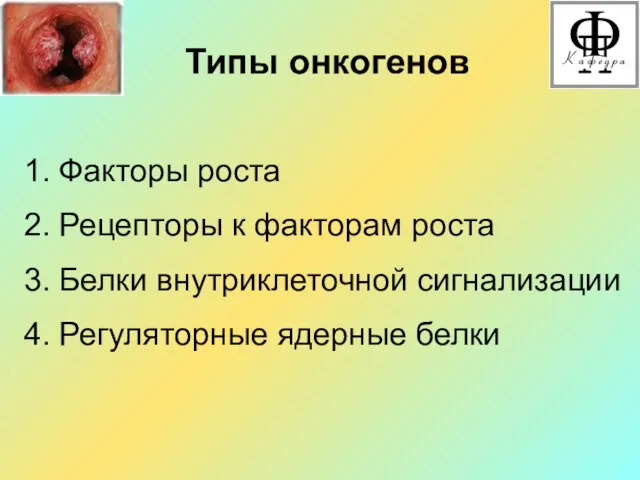 Типы онкогенов 1. Факторы роста 2. Рецепторы к факторам роста