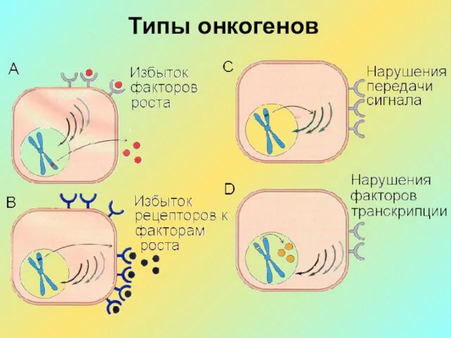 Типы онкогенов