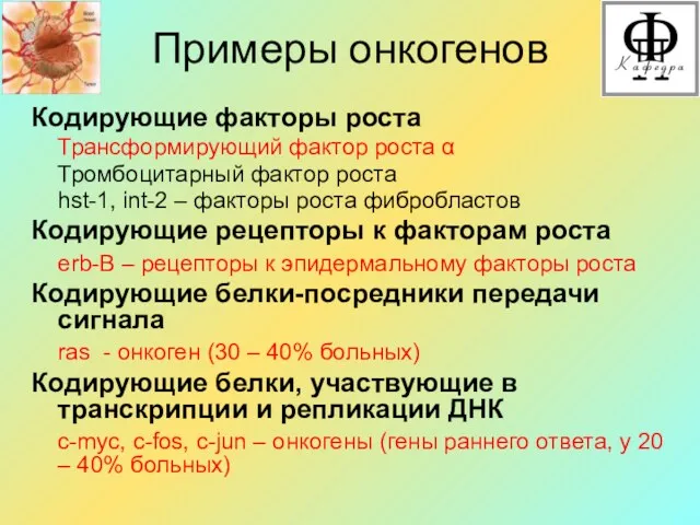 Примеры онкогенов Кодирующие факторы роста Трансформирующий фактор роста α Тромбоцитарный