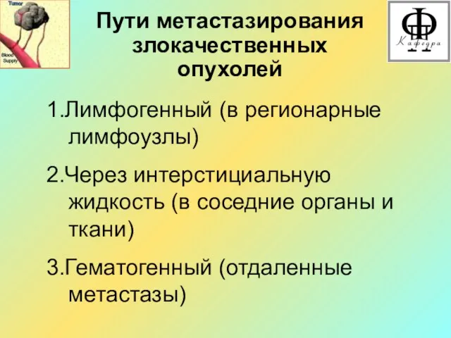 Пути метастазирования злокачественных опухолей 1.Лимфогенный (в регионарные лимфоузлы) 2.Через интерстициальную