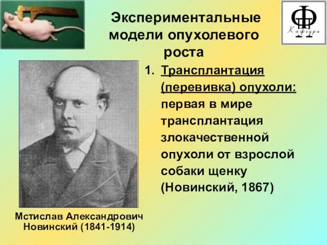 Экспериментальные модели опухолевого роста Трансплантация (перевивка) опухоли: первая в мире