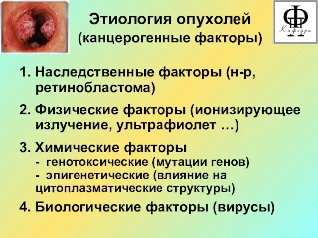 Этиология опухолей (канцерогенные факторы) 1. Наследственные факторы (н-р, ретинобластома) 2.