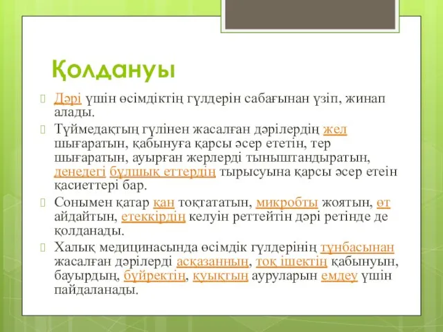 Қолдануы Дәрі үшін өсімдіктің гүлдерін сабағынан үзіп, жинап алады. Түймедақтың