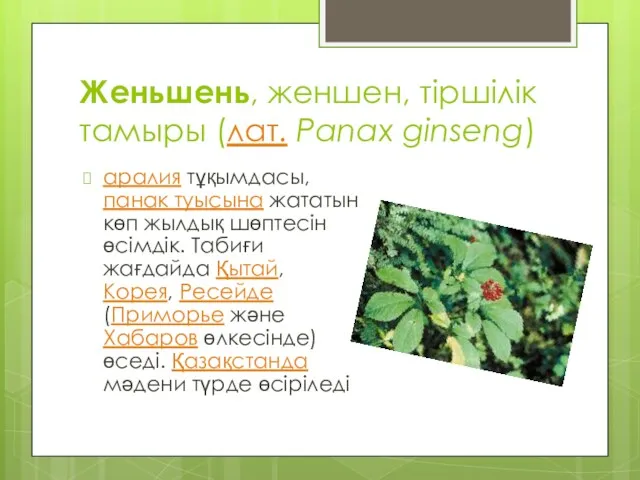 Женьшень, женшен, тіршілік тамыры (лат. Panax ginseng) аралия тұқымдасы, панак