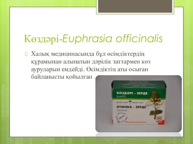 Көздәрі-Euphrasia officinalis Халық медицинасында бұл өсімдіктердің құрамынан алынатын дәрілік заттармен