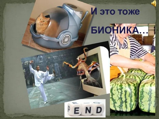 И это тоже БИОНИКА…