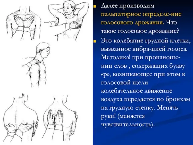 Далее производим пальпаторное определе-ние голосового дрожания. Что такое голосовое дрожание?