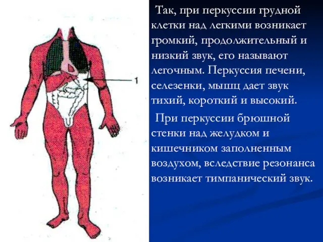 Так, при перкуссии грудной клетки над легкими возникает громкий, продолжительный