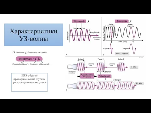 Характеристики УЗ-волны Основное уравнение потока: PRF обратно пропорциональна глубине распространения импульса