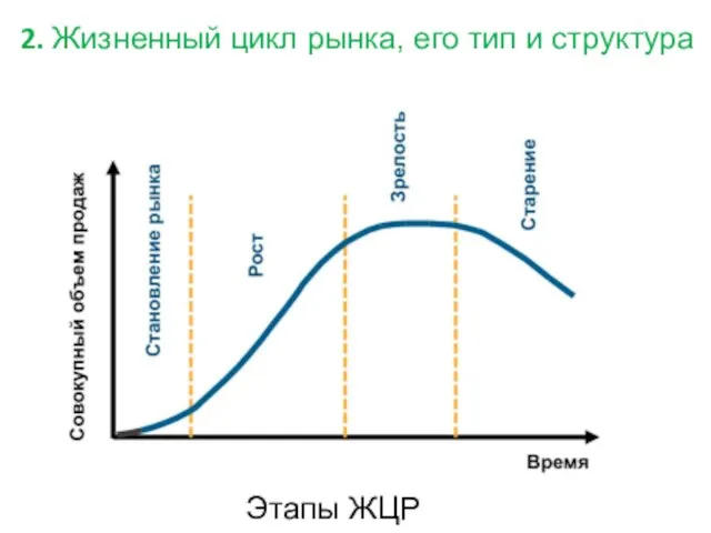 2. Жизненный цикл рынка, его тип и структура Этапы ЖЦР