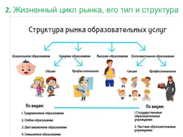 2. Жизненный цикл рынка, его тип и структура