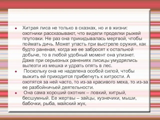 Хитрая лиса не только в сказках, но и в жизни: охотники рассказывают, что