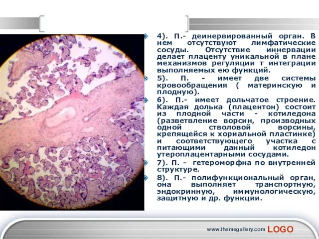 www.themegallery.com 4). П.- деинервированный орган. В нем отсутствуют лимфатические сосуды.