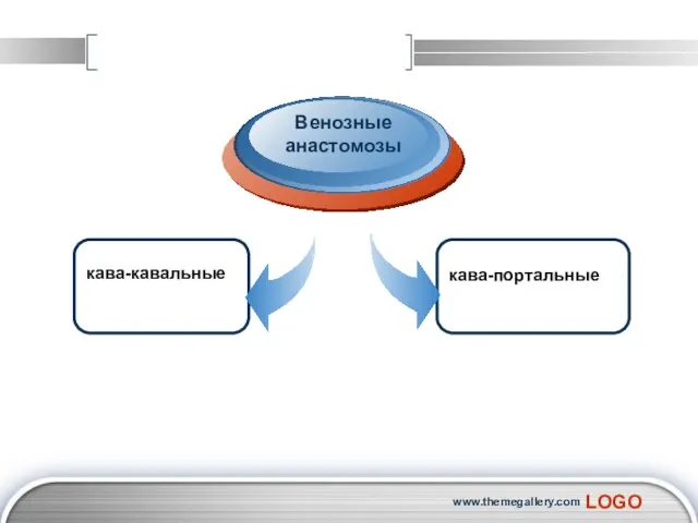 www.themegallery.com кава-кавальные Венозные анастомозы кава-портальные