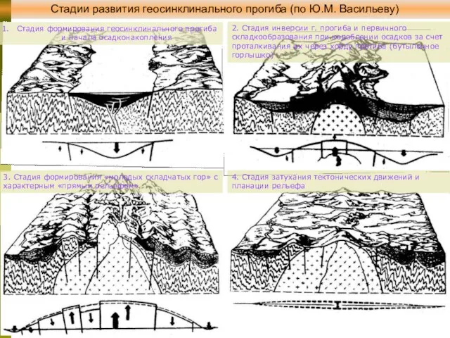 Стадии развития геосинклинального прогиба (по Ю.М. Васильеву) Стадия формирования геосинклинального