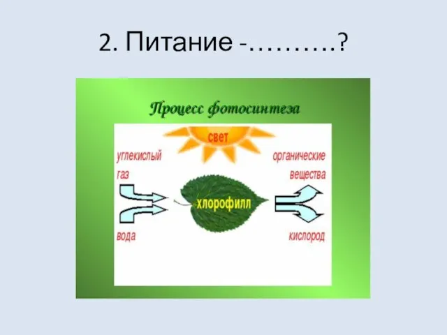 2. Питание -……….?