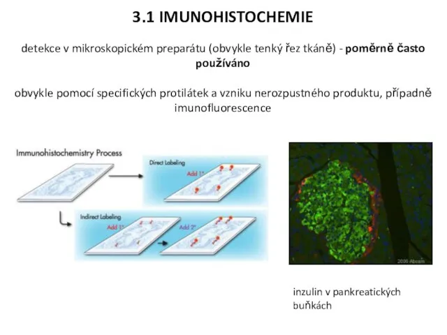 3.1 IMUNOHISTOCHEMIE detekce v mikroskopickém preparátu (obvykle tenký řez tkáně)