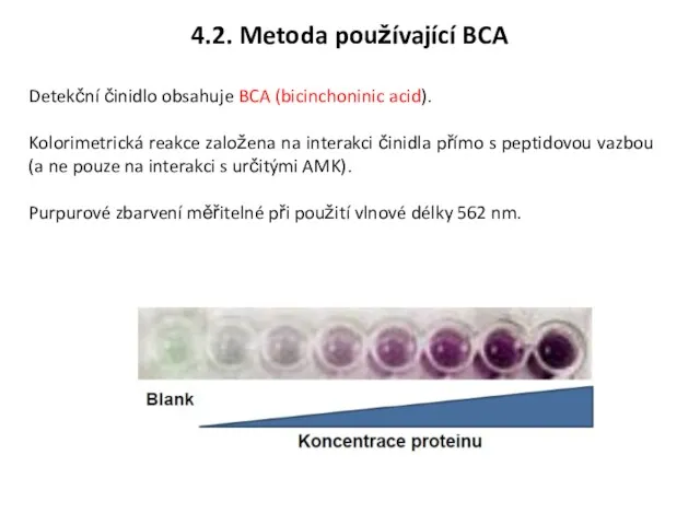 Detekční činidlo obsahuje BCA (bicinchoninic acid). Kolorimetrická reakce založena na