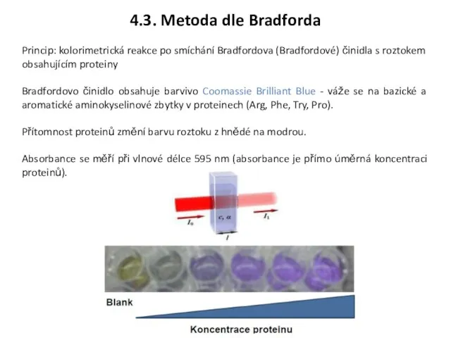 4.3. Metoda dle Bradforda Princip: kolorimetrická reakce po smíchání Bradfordova (Bradfordové) činidla s