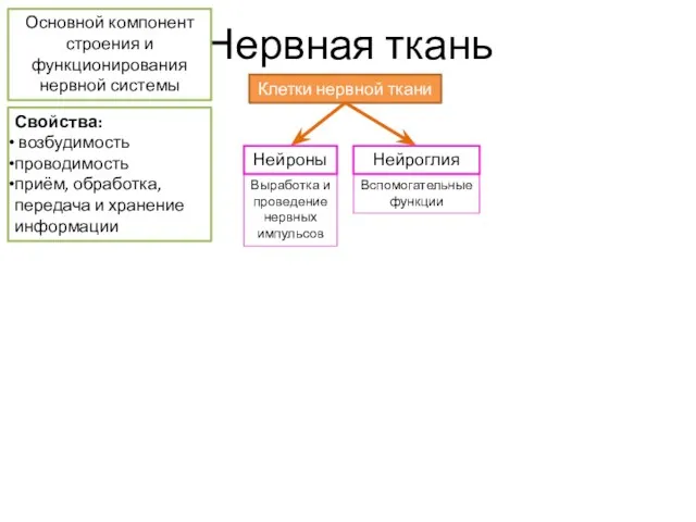 Нервная ткань Основной компонент строения и функционирования нервной системы Клетки