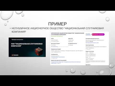 ПРИМЕР НЕПУБЛИЧНОЕ АКЦИОНЕРНОЕ ОБЩЕСТВО "НАЦИОНАЛЬНАЯ СПУТНИКОВАЯ КОМПАНИЯ"