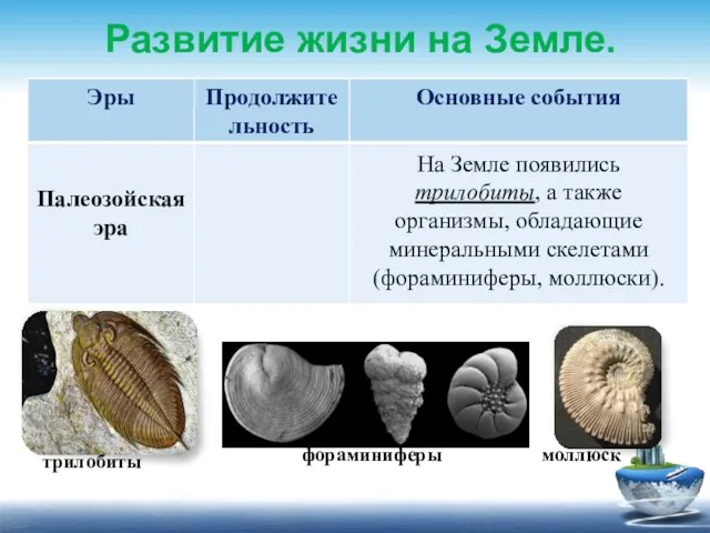Развитие жизни на Земле. На Земле появились трилобиты, а также организмы, обладающие минеральными скелетами (фораминиферы, моллюски).