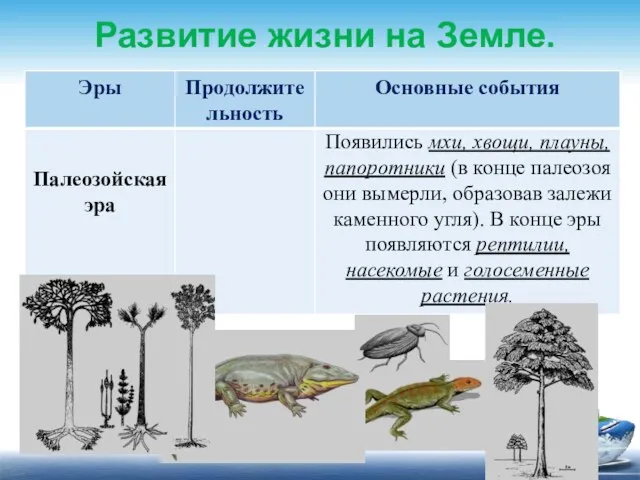 Развитие жизни на Земле. Появились мхи, хвощи, плауны, папоротники (в