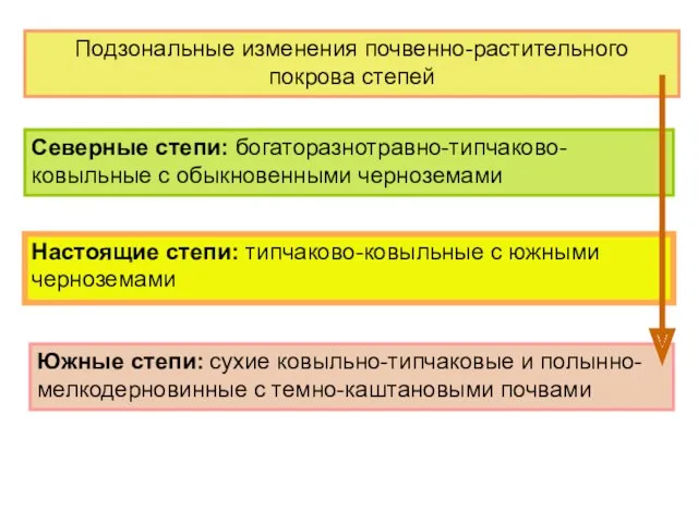 Подзональные изменения почвенно-растительного покрова степей Северные степи: богаторазнотравно-типчаково- ковыльные с