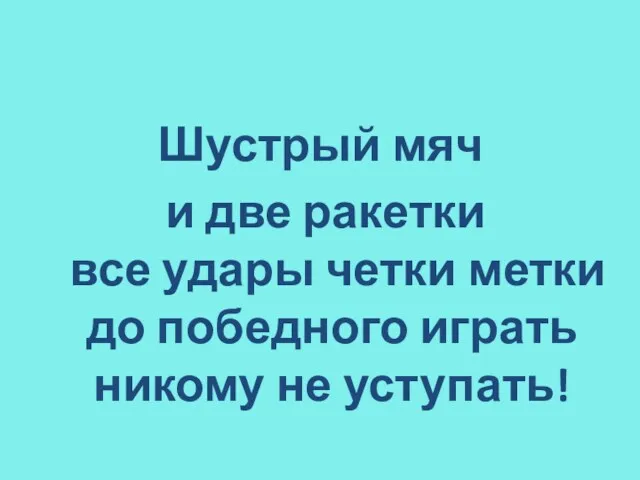 Шустрый мяч и две ракетки все удары четки метки до победного играть никому не уступать!