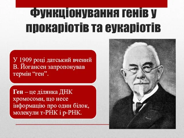 Функціонування генів у прокаріотів та еукаріотів