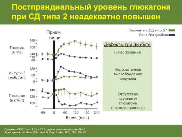 Постпрандиальный уровень глюкагона при СД типа 2 неадекватно повышен 120 60 0 Инсулин‡