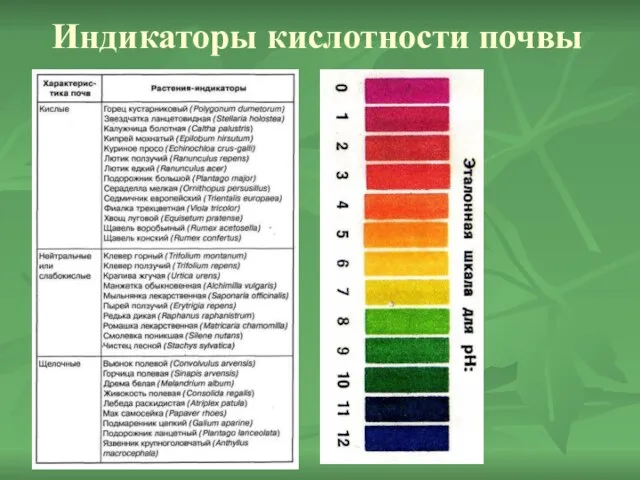 Индикаторы кислотности почвы
