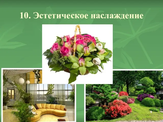 10. Эстетическое наслаждение