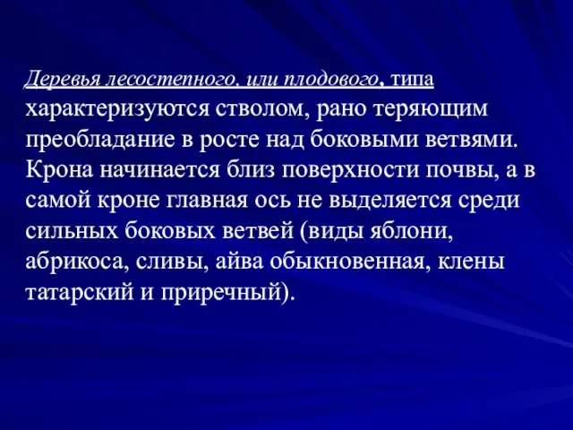 Деревья лесостепного, или плодового, типа характеризуются стволом, рано теряющим преобладание