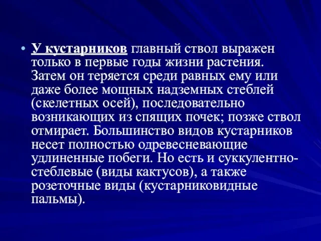 У кустарников главный ствол выражен только в первые годы жизни