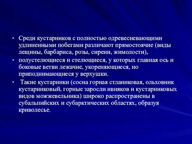 Среди кустарников с полностью одревесневающими удлиненными побегами различают прямостоячие (виды