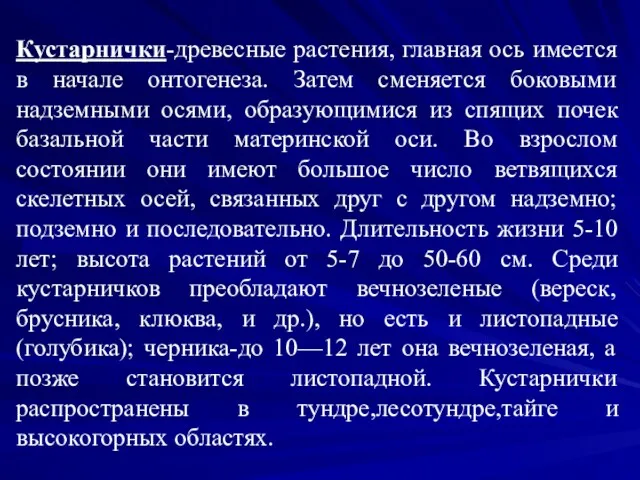 Кустарнички-древесные растения, главная ось имеется в начале онтогенеза. Затем сменяется